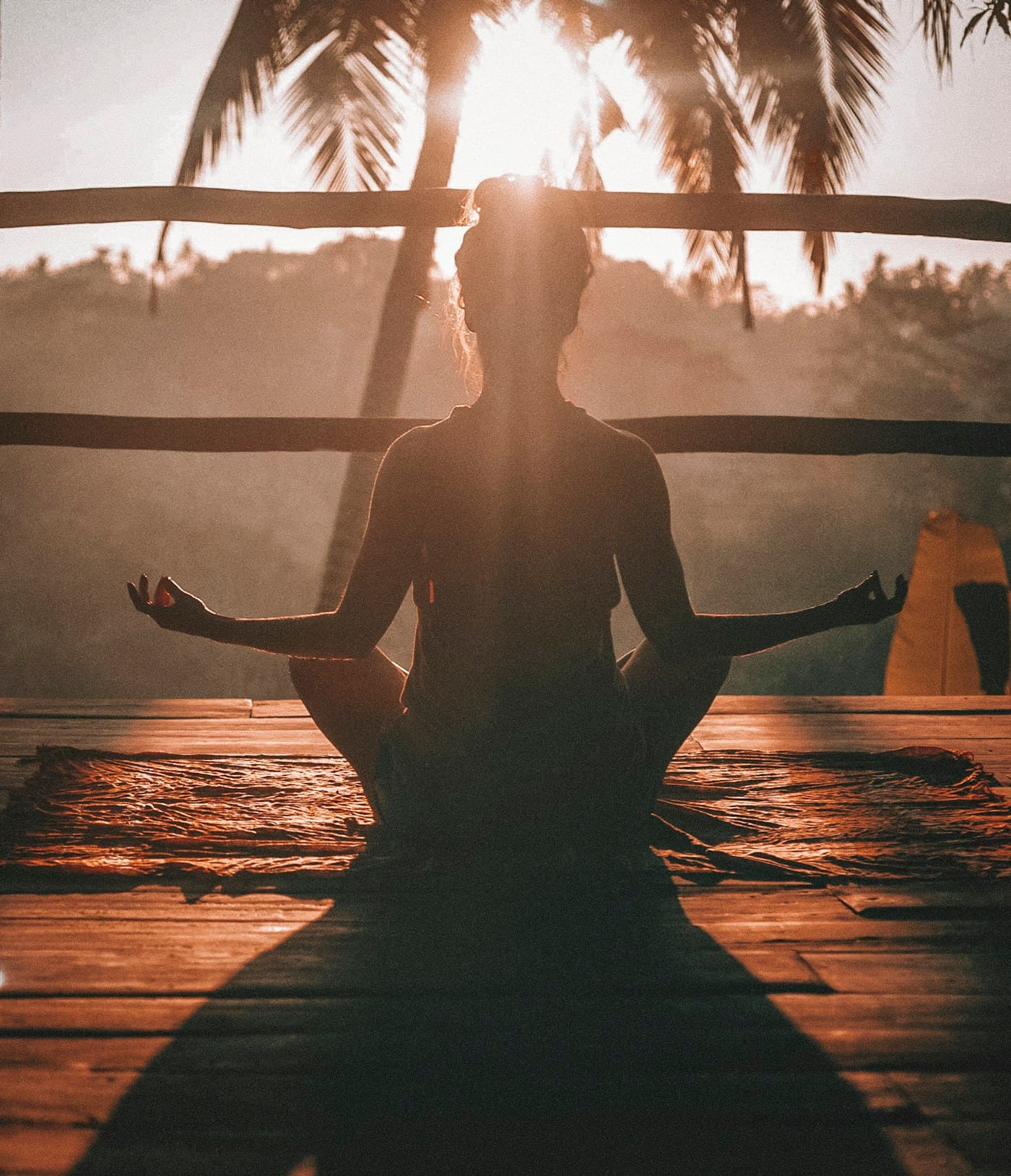 Track Progress step in the iThrive wellness journey