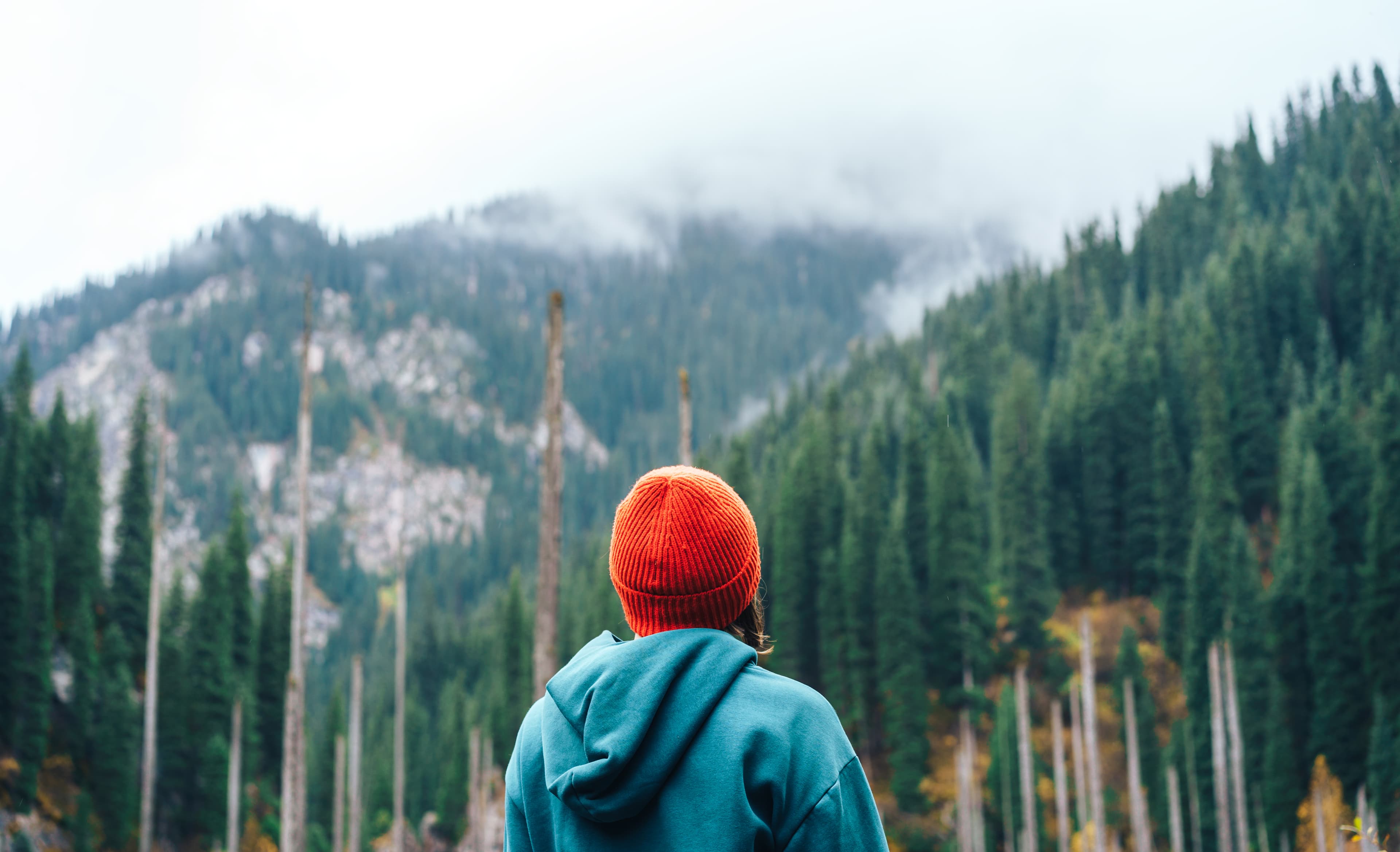 Person facing a misty mountain forest, representing a personalised path toward vitality